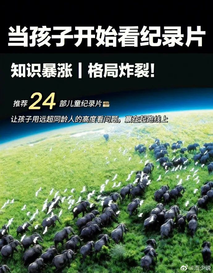 24部适合孩子观看的儿童纪录片