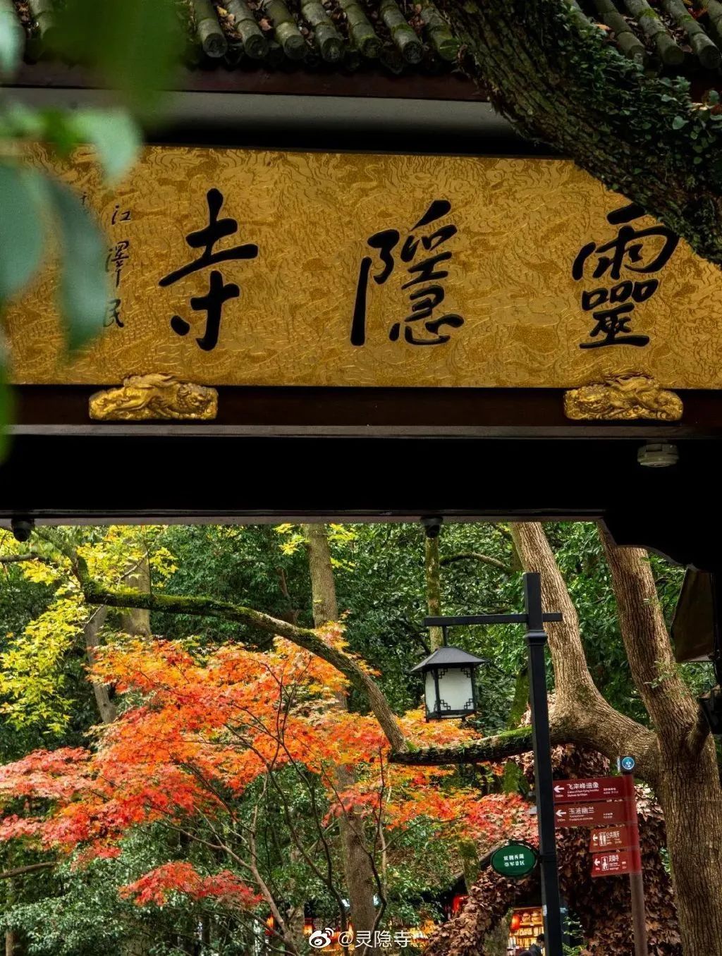 杭州2023限时免费景点大全