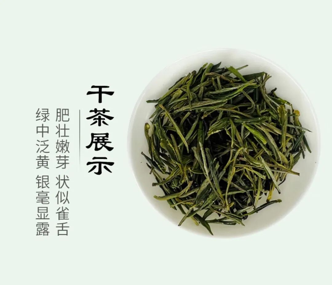 茶叶的分类、产地、特点一览