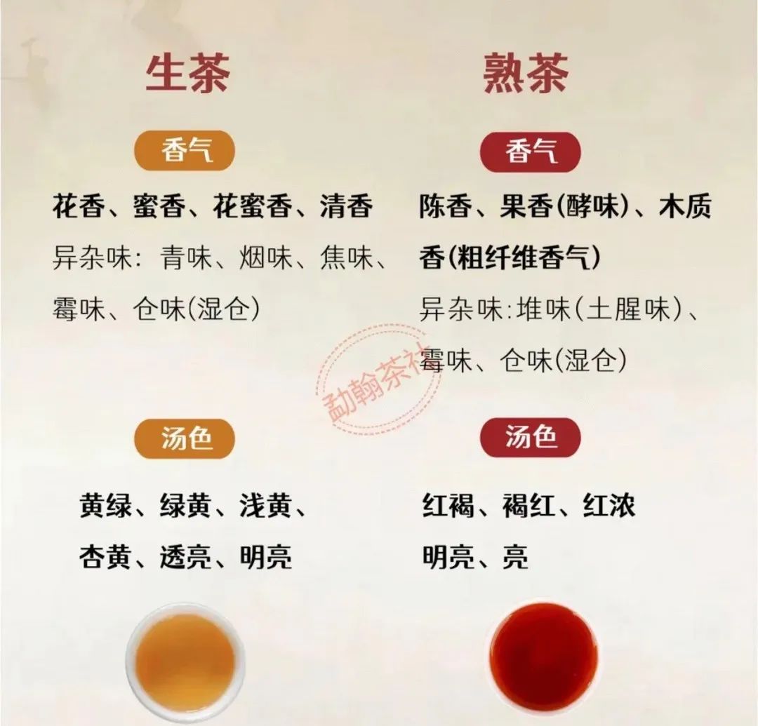一文讲清楚普洱生茶与熟茶的区别