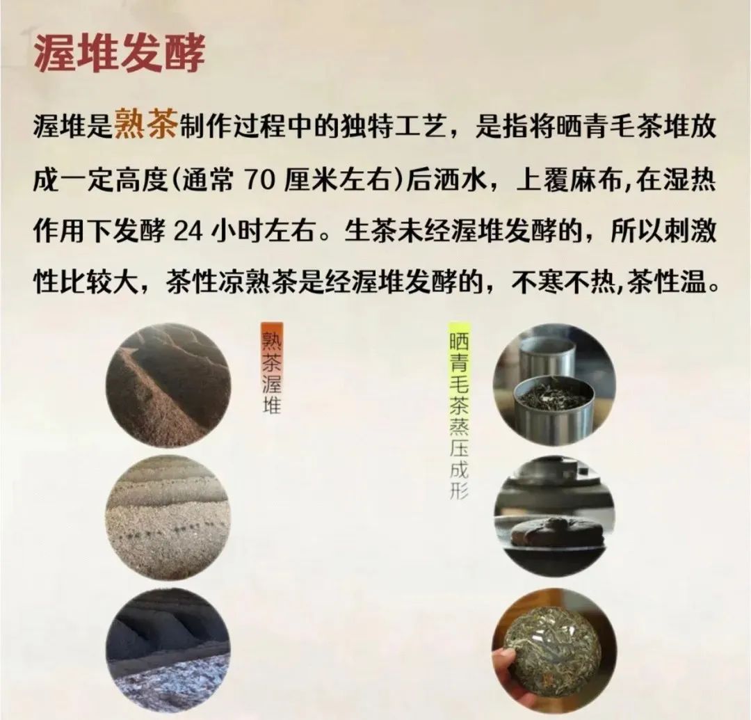一文讲清楚普洱生茶与熟茶的区别