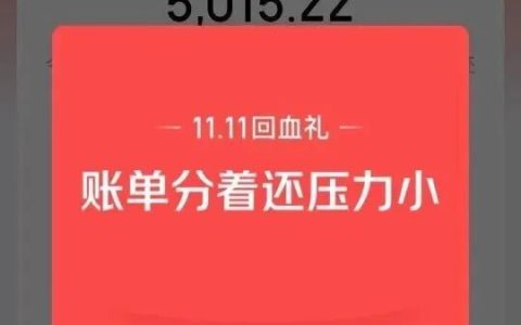 京东金融：分期还款大毛